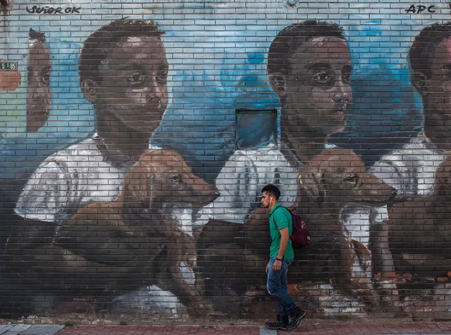A man walks in front of a graffiti portraying a three kids, at “Graffiti District” in Bogota, Colombia on January 4, 2018. (Photo by Juancho Torres/Anadolu Agency/Getty Images)