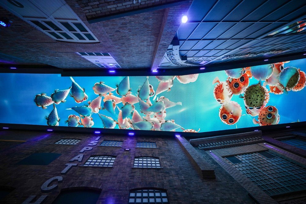 Pictures of the Year 2024, Part 061/240