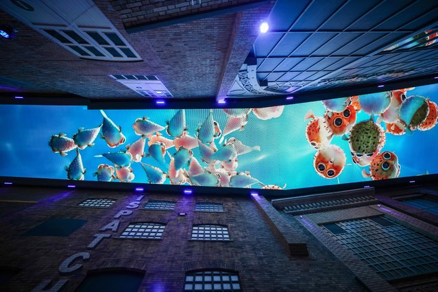 Animations appear on the new 1000m2 screen adorning the ceiling of Printworks on March 20, 2024 in Manchester, England. The entertainment venue recently underwent a £21-million renovation, including the installation of a digital screen the size of five tennis courts stretching across the building's ceiling. (Photo by Christopher Furlong/Getty Images)