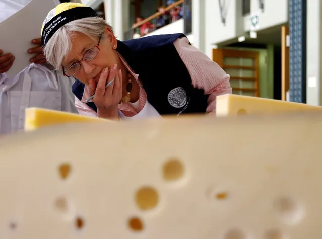 A judge inspects a piece of Emmental cheese during the Swiss Cheese Awards competition in Le Sentier, Switzerland September 23, 2016. (Photo by Denis Balibouse/Reuters)