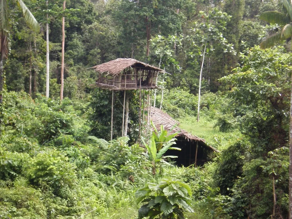 Korowai People