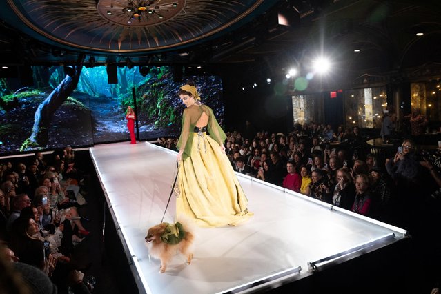 A model walks with Penny, Pomeranian, during the CatWalk FurBaby show during the New York Fashion Week in New York, U.S., February 10, 2023. (Photo by Jeenah Moon/Reuters)