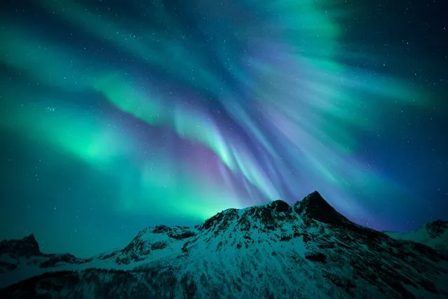 Motind. Careening over the peaks of Senja, oxygen produces the greens and nitrogen the purples seen in this particular display of the Northern Lights. (Photo by Rune Engebo)