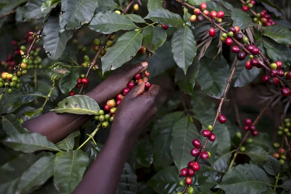 The Day in Photos – November 18, 2015