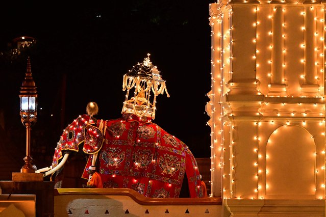 A decorated elephant carrying the sacred golden casket housing Lord Buddha's revered tooth relic, walks past the historic Buddhist Temple of the Tooth, as part of celebrations to mark the Buddhist festival of Esala Perahera, in the ancient hill capital of Kandy, on August 8, 2025. (Photo by Ishara S. Kodikara/AFP Photo)