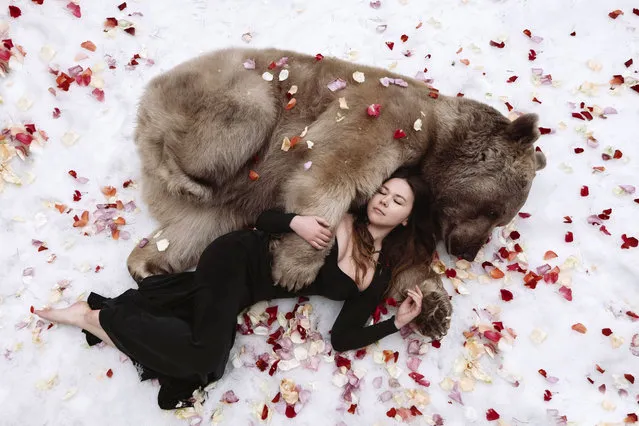 “Polina with a bear”. These brave models show no fear as they pose with bears, tigers and wolves in scenes straight from the pages of a fairy tale. (Photo by Olga Barantseva/Caters News Agency)
