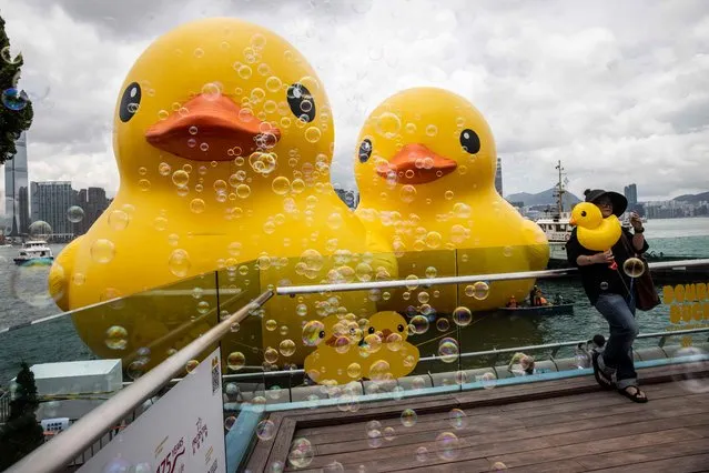 A women poses in front of two large inflatable yellow ducks called “Double Duck” by Dutch artist Florentijn Hofman in Victoria Harbour in Hong Kong on June 9, 2023. (Photo by Isaac Lawrence/AFP Photo)