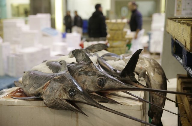 Swordfish are sold at the fish pavilion in Rungis International food market as buyers prepare for the Christmas holiday season in Rungis, south of Paris, December 11, 2015. (Photo by Philippe Wojazer/Reuters)