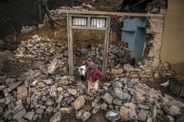 A girl pulls a goat outside her house on Margalla Hills in Islamabad January 22, 2015. (Photo by Zohra Bensemra/Reuters)