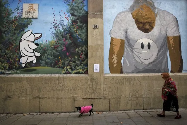 A woman and her dog walk past a wall displaying street art in Madrid, Spain, December 16, 2015. (Photo by Susana Vera/Reuters)
