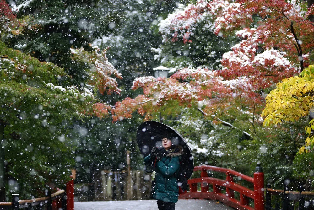 Snowfall in Japan