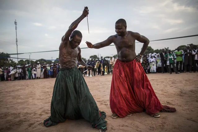 Performers from the Joles ethnic group in Gambia prepare to perform with sharp blades  which they say will demonstrate the magic powers of a spiritual water, that will make them immune to the cuts, during a campaign rally by incumbent President Yahya Jammeh, leader of the APRC (The Alliance for Patriotic Reorientation and Construction) in Bikama on November 24, 2016. As electoral favorite Jammeh seeks his fifth term in power, a two-week campaign period will come to an end next week ahead of the December 1st presidential election with political leaders canvassing in rural areas. (Photo by Marco Longari/AFP Photo)