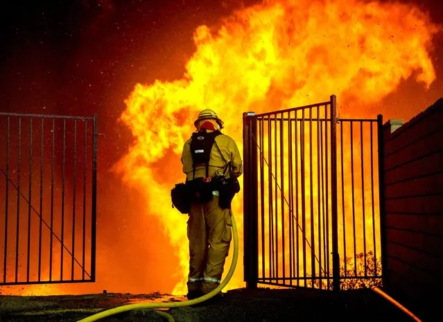 A firefighter battles flames next to homes during the Holy Fire in Lake Elsinore, Calif., August 9, 2018. (Photo by David McNew/EPA-EFE/Rex Features/Shutterstock)