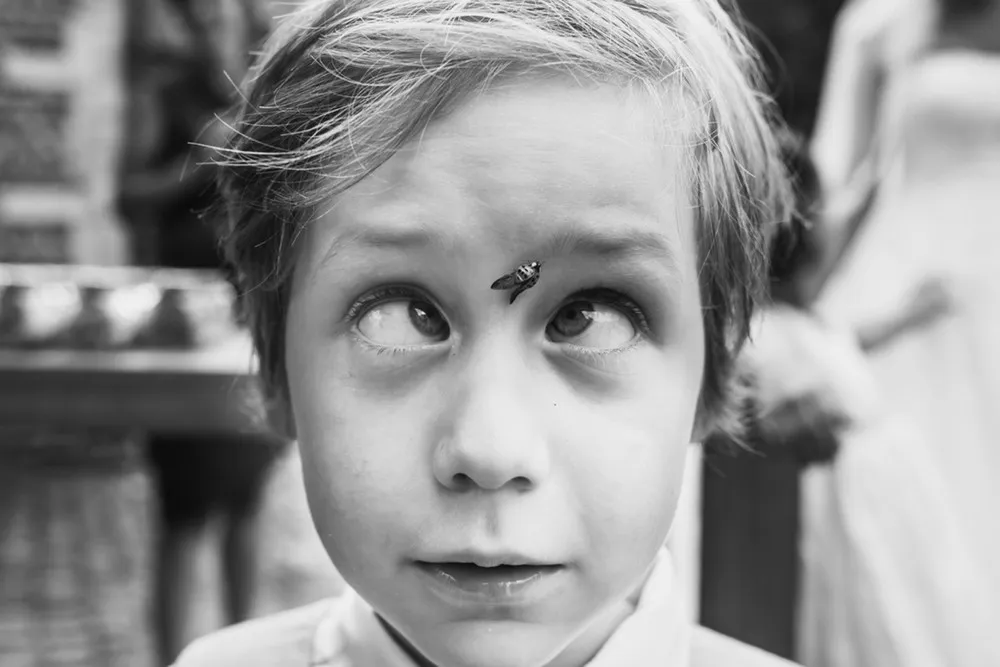 Funniest Wedding Photos of 2015