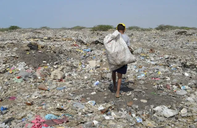 A boy carries a bag of recyclable waste at a rubbish dump outside Yemen's Red Sea port city of Houdieda January 19, 2016. (Photo by Abduljabbar Zeyad/Reuters)