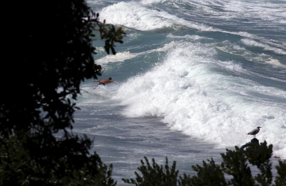 The Day in Photos – February 28, 2016