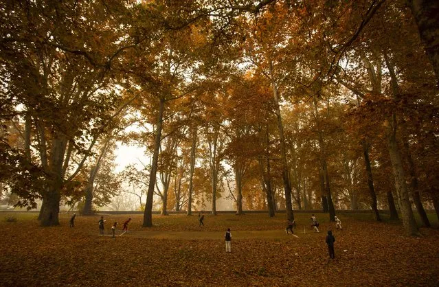 Kashmiri boys play cricket in a garden covered with fallen Chinar leaves on the outskirts of Srinagar, Indian controlled Kashmir, Sunday, November 14, 2021. Kashmiris collect fallen leaves in autumn to make charcoal for use during winters. (Photo by Mukhtar Khan/AP Photo)