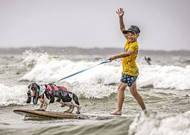 A boy takes his basset hound for a walk with a difference in Noosa, Australia on Saturday, March 9, 2024, during the annual Surf Dog Championships. (Photo by Roberta Holden/Solent News)