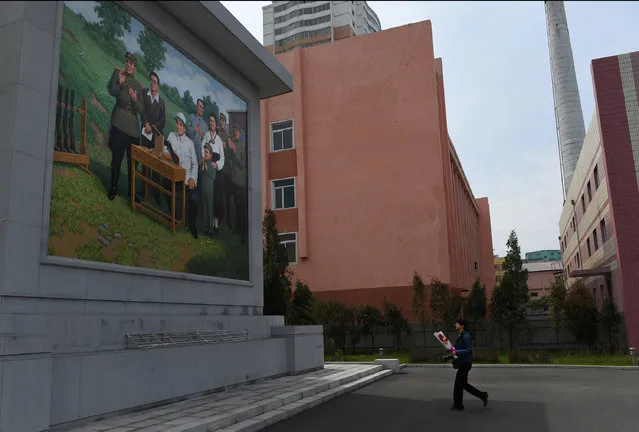 A Chinese journalist is asked to place flowers at the base of a portrait at the Pyongchon Revolutionary Site during a foreign press tour in Pyongyang, North Korea on May 5, 2016. The site is a former munitions factory, which was visited on several occasions by DPRK founder and late president Kim Il Sung (Kim Il-so’ng), his wife Kim Jong Suk (Kim Cho’ng-suk) and a young KJI. It routinely appears in official documentaries about revolutionary history and on the DPRK’s military industrial complex. (Photo by Linda Davidson/The Washington Post)