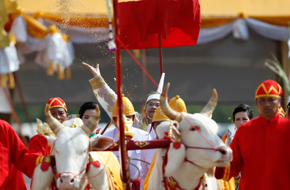 Royal Ploughing Ceremony in Bangkok