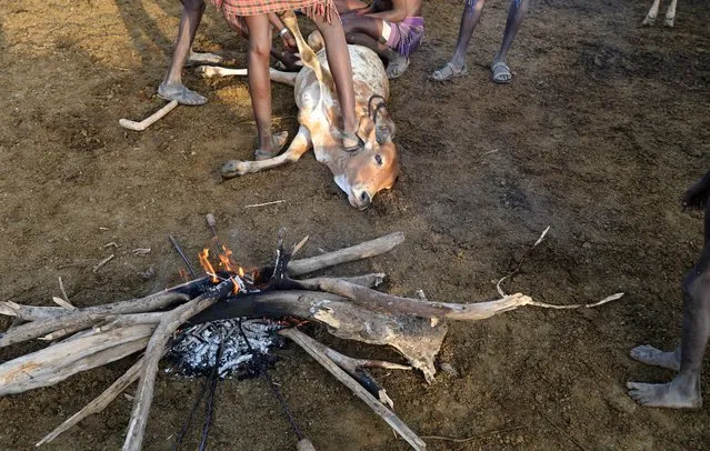 Turkana warriors prepare to mark cattle with a hot iron in a settlement in Ilemi Triangle, Kenya, July 18, 2019. As in many regions across Africa, farmers and nomads frequently clash over limited resources, be it land, cattle or water. Cows and bulls are the most important currency here, not cash. When danger looms, locals say the police are usually far away and neighbours are the only ones they can turn to. (Photo by Goran Tomasevic/Reuters)