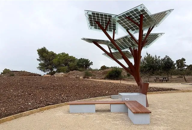 Solar-Powered Tree "eTree" In Israeli