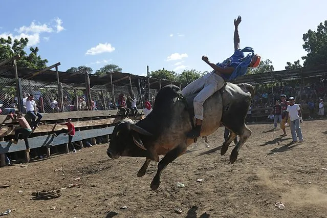 A man rides a bull during festivities honouring the capital's patron saint Santo Domingo de Guzman in Managua, Nicaragua August 2, 2015. (Photo by Oswaldo Rivas/Reuters)