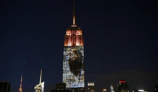 Empire State Building Brings Endangered Animals