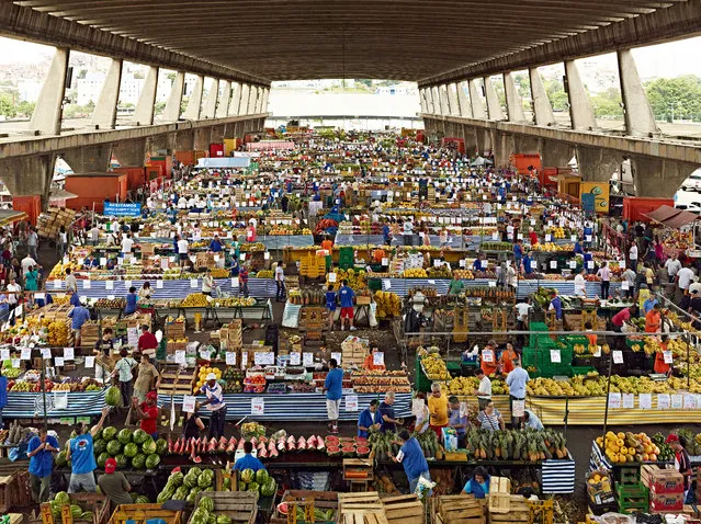 Ceagesp market in São Paulo, Brazil on January 2012. On the fringes of São Paulo, Brazil’s biggest city, lies a massive fruit, vegetable and flower market – the third largest food wholesale operation in the world, and the busiest in Latin America, turning over more than $3bn  a year. (Photo by Massimo Vitali/The Guardian)