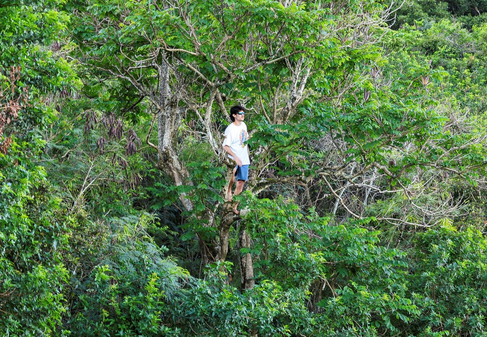 USA last Week, Part 2/2