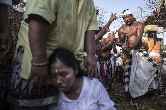 A Balinese man in a state of trance, stabs his chest during Ngusaba Gumang Ritual on October 6, 2014 in Karangasem, Bali, Indonesia. (Photo by Agung Parameswara/Getty Images)