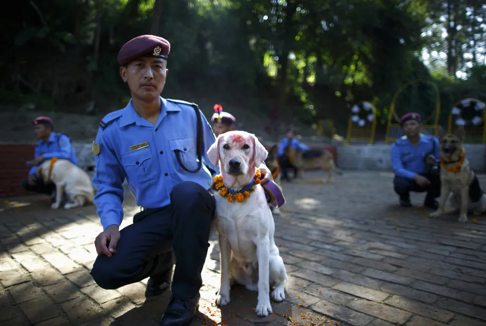 Dog Worship Day in Nepal