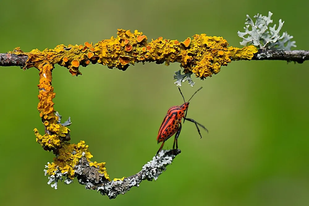 2014 National Geographic Photo Contest, Week 9. Part 4/4