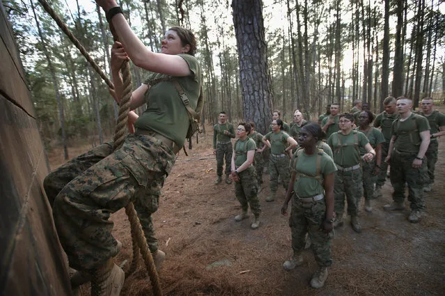 Male and female Marines wait to climb an obstacle on the Endurance Course during Marine Combat Training (MCT) on February 20, 2013 at Camp Lejeune, North Carolina.  Since 1988 all non-infantry enlisted male Marines have been required to complete 29 days of basic combat skills training at MCT after graduating from boot camp. MCT has been required for all enlisted female Marines since 1997. About six percent of enlisted Marines are female.  (Photo by Scott Olson)