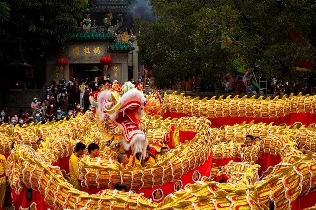 A 238m-long dragon dance is performed in front of the A-Ma Temple during celebrations on the first day of the Chinese lunar new year in Macau on January 22, 2023. (Photo by Eduardo Leal/AFP Photo)