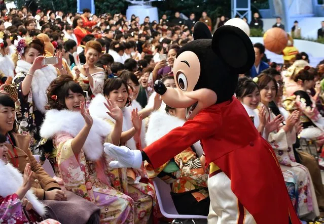 Disney character Mickey Mouse greets 20-year-old women wearing kimonos during their “Coming-of-Age Day” celebration at Tokyo Disneyland in Urayasu, suburban Tokyo on January 12, 2015. The number of people aged 20 years old, the legal age of adulthood in Japan, is estimated to stand at 1.26 million this year, an increase of 50,000 from 2014. (Photo by Yoshikazu Tsuno/AFP Photo)