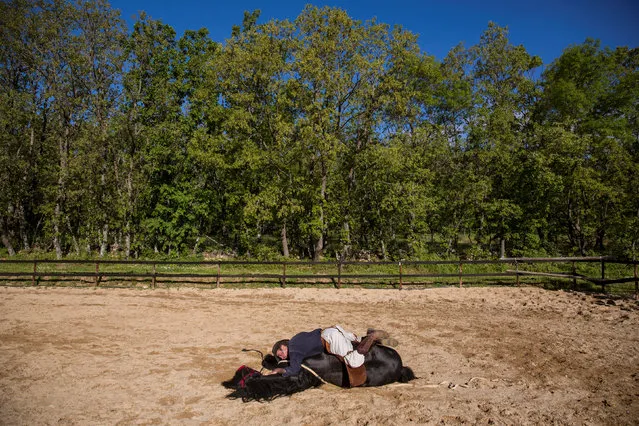 Fernando Noailles, emotional therapist, lays on top of his horse named Madrid in Guadalix de la Sierra, outside Madrid, Spain, May 31, 2016. Noailles uses his animals to help people suffering from stress and anxiety. (Photo by Juan Medina/Reuters)
