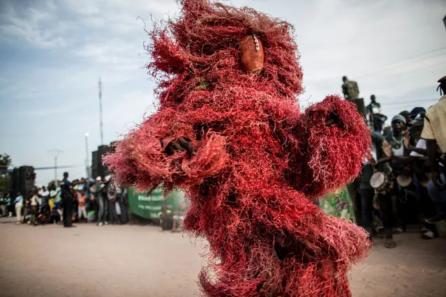 A performer wearing a traditional kankurang mask, a ceremonial attire of the Manding tribe worn during circumcisions and propitiatory ceremonies, dances in Brikama on November 24, 2016, during a rally ahead of the ruling APRC (The Alliance for Patriotic Reorientation and Construction), attended by the incumbent president, ahead of the December 1 presidential election. (Photo by Marco Longari/AFP Photo)