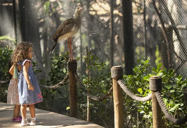 Children visit the aviary at BioParque, in Rio de Janeiro, Brazil, Wednesday, May 5, 2021. BioParque reopened to the public in March, after privatization of Rio's dilapidated zoo and almost 17 months of renovations. (Photo by Bruna Prado/AP Photo)