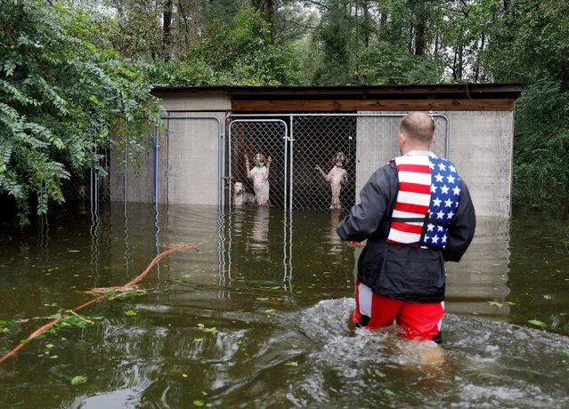 Panicked dogs that were left caged by an owner who fled rising flood waters in the aftermath of Hurricane Florence, are rescued by volunteer rescuer Ryan Nichols of Longview, Texas, in Leland, North Carolina, Sept. 16, 2018. (Photo by Jonathan Drake/Reuters)