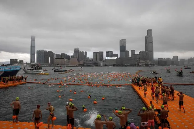 Participants take part in the Harbour Race, where swimmers cross Hong Kong's Victoria Harbour, in the city on November 12, 2023. (Photo by Isaac Lawrence/AFP Photo)