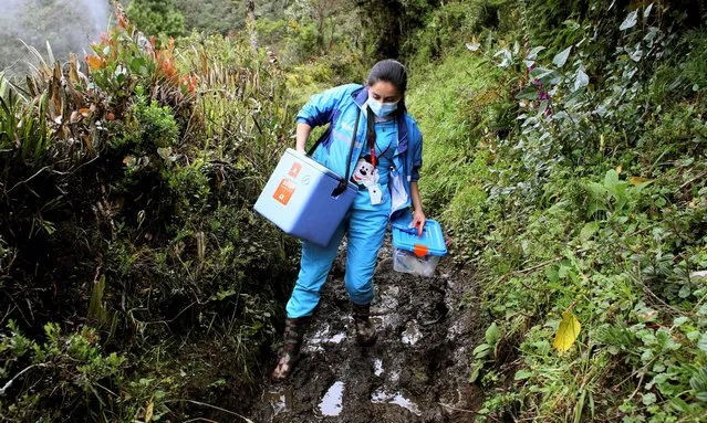 Health worker Elizabeth Romero walks carrying doses of Sinovac Covid-19 vaccine in Sumapaz, Bogota's rural zone on July 29, 2021. (Photo by Leonardo Munoz/AFP Photo)