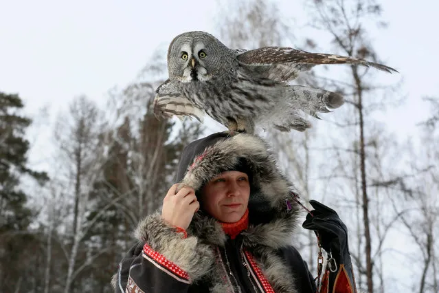 Mykh, a two-year-old Great Gray Owl, sits on the head of ornithologist Daria Koshcheyeva during a training session, which is part of a project of a local zoo to tame wild animals for further research and interaction with visitors, in the Siberian Taiga forest in Krasnoyarsk, Russia on January 30, 2019. (Photo by Ilya Naymushin/Reuters)