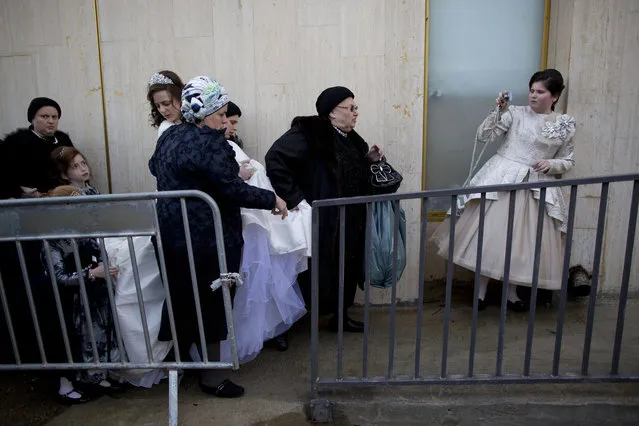 A Jewish bride arrives with family members during her wedding to the grandson of the Rabbi of the Tzanz Hasidic dynasty community, in Netanya, Israel, Tuesday, March 15, 2016. (Photo by Oded Balilty/AP Photo)