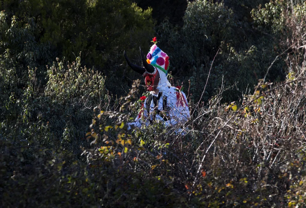Carnival in Almiruete