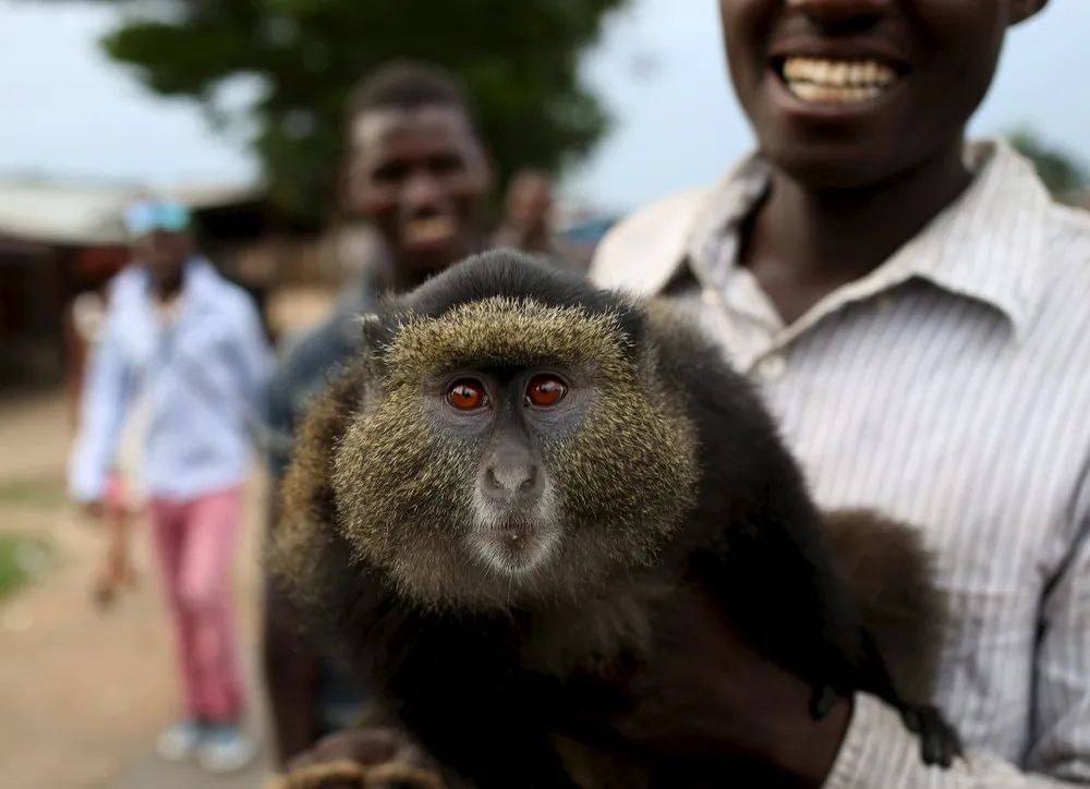 The Day in Photos – May 25, 2015, Part 1/2