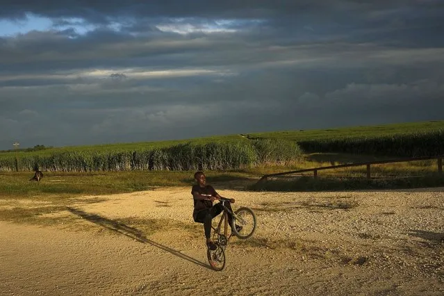 A youth performs a wheelie on his bike near the Lima batey in La Romana, Dominican Republic, Wednesday, November 17, 2021. The bateyes formed around the sugar cane mills where cane workers, mainly Haitians, eventually established their immigrant communities. (Photo by Matias Delacroix/AP Photo)