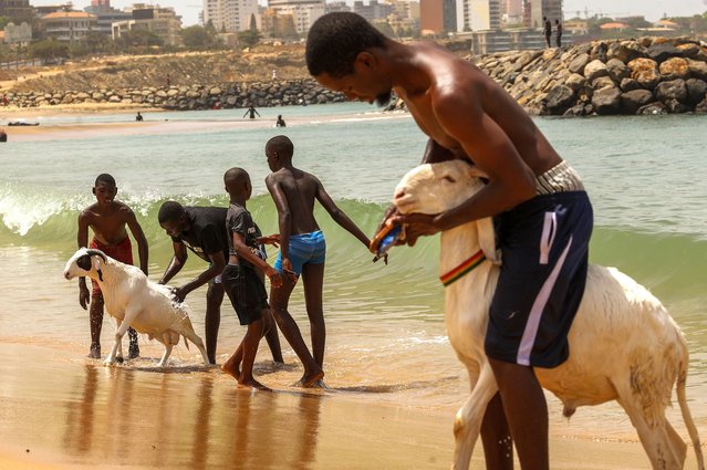 People, including children wash their sheep in the ocean ahead of Eid al-Adha in Dakar, Senegal on May 26, 2024. The sheep for Eid al-Adha are called 'tabaski' in the local language. They are first washed in the sea and then cleaned with a brush on the beach. (Photo by Cem Ozdel/Anadolu via Getty Images)