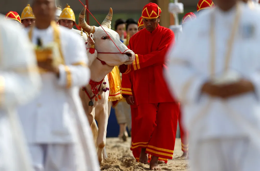 Royal Ploughing Ceremony in Bangkok