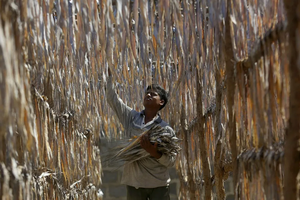 A Look at Life in Pakistan